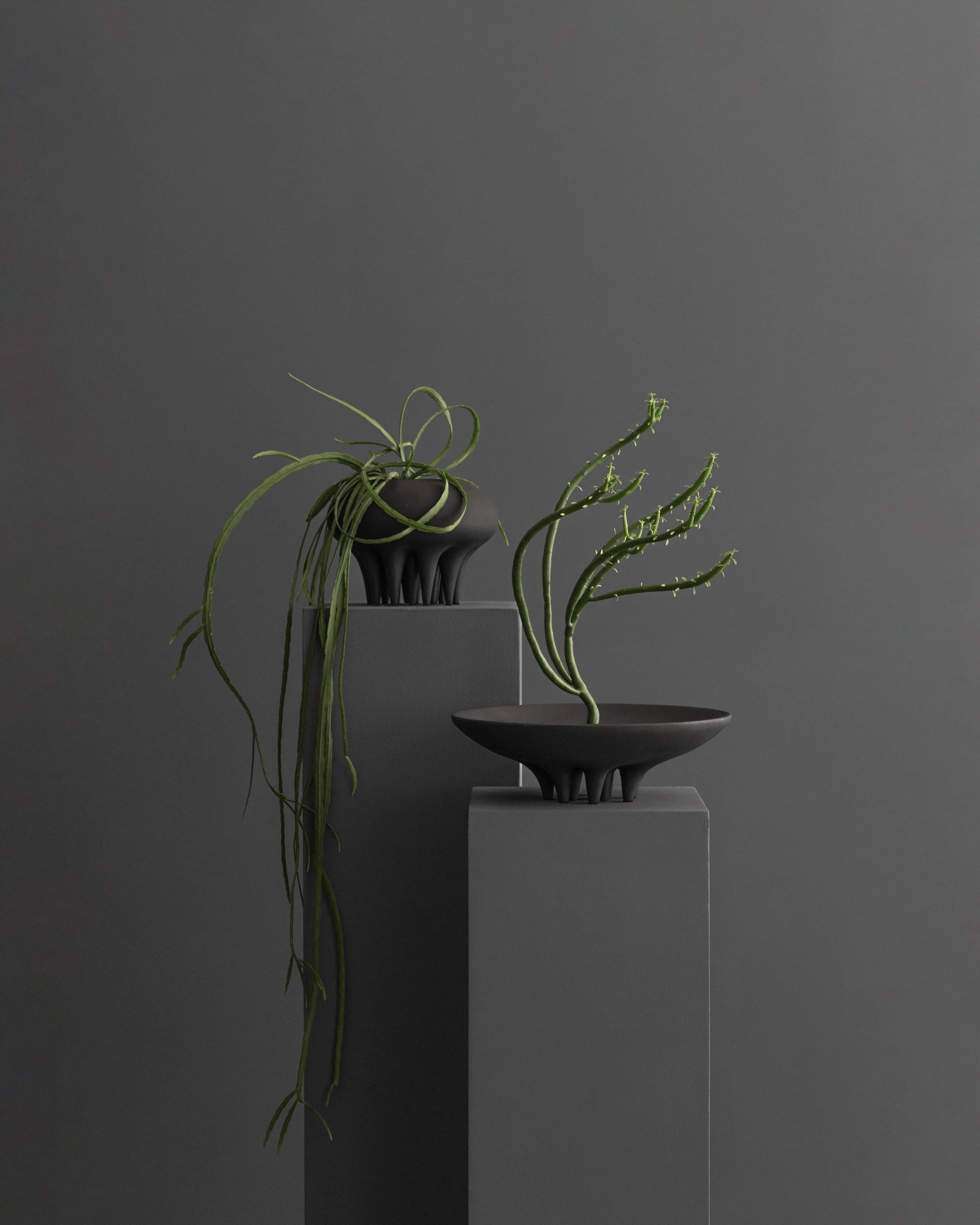 Поднос Medusa Mini — Coffee 8
