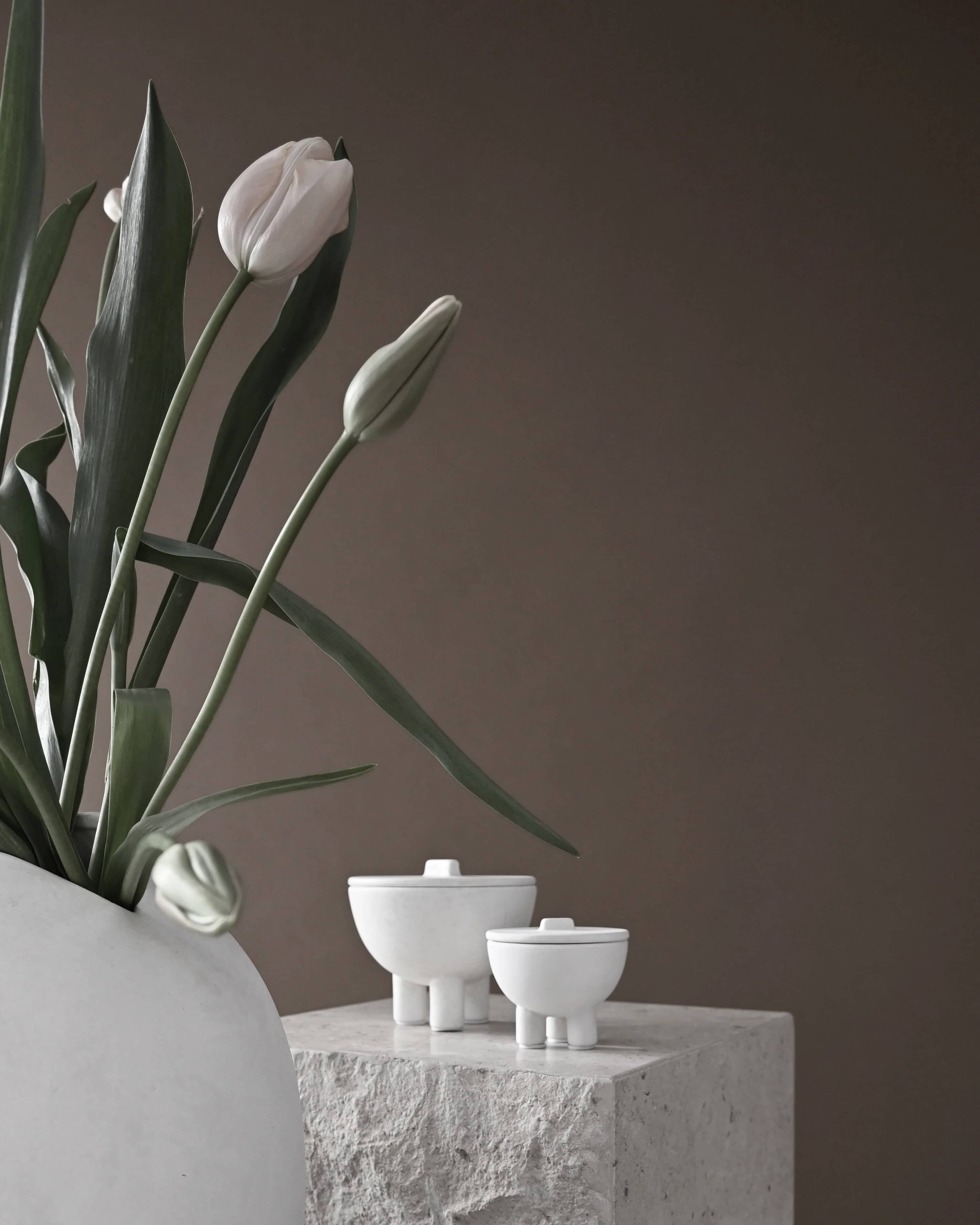 Чаша Duck Jar Medio — Bone White 7
