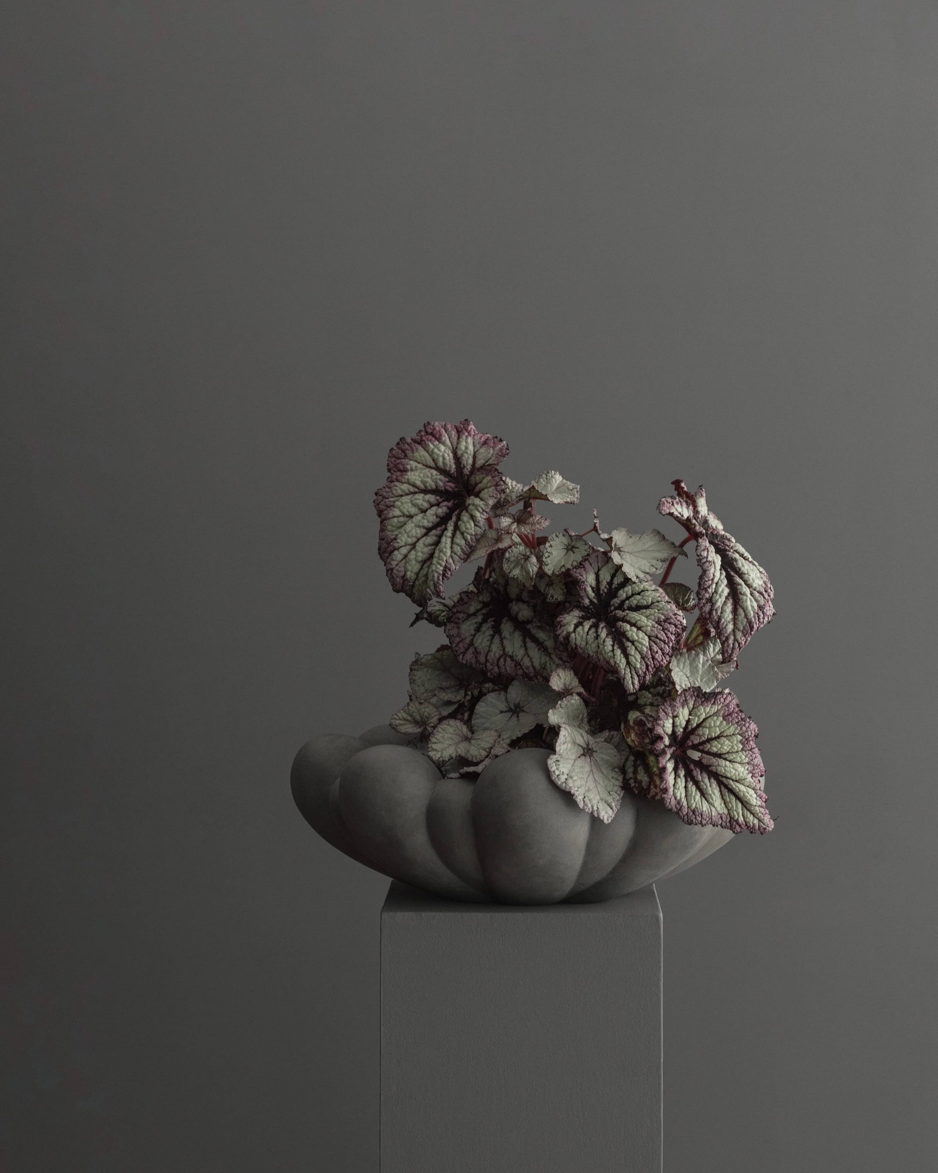 Поднос Bloom Big — Dark Grey 8