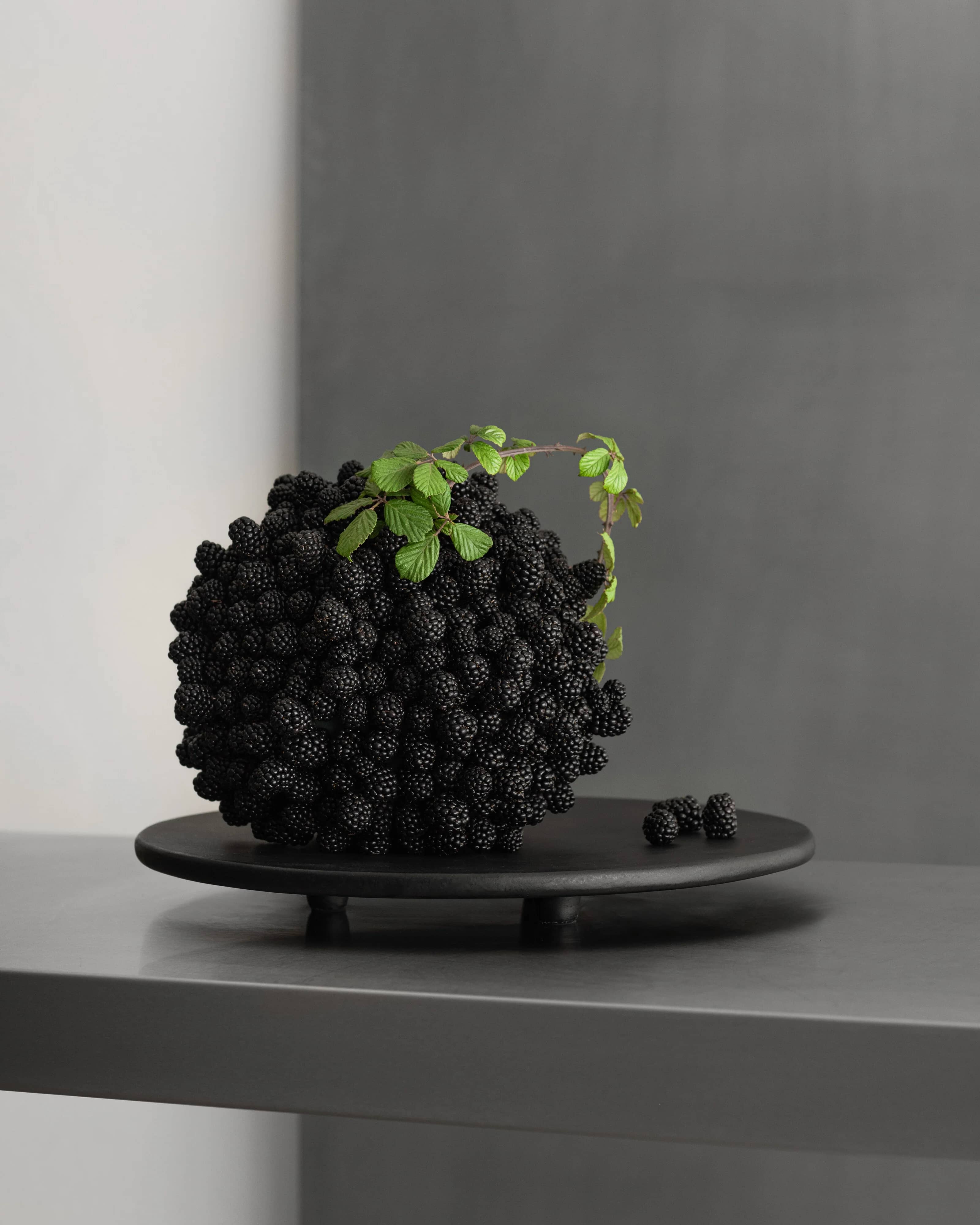 Поднос Duck Tray Small — Coffee 3