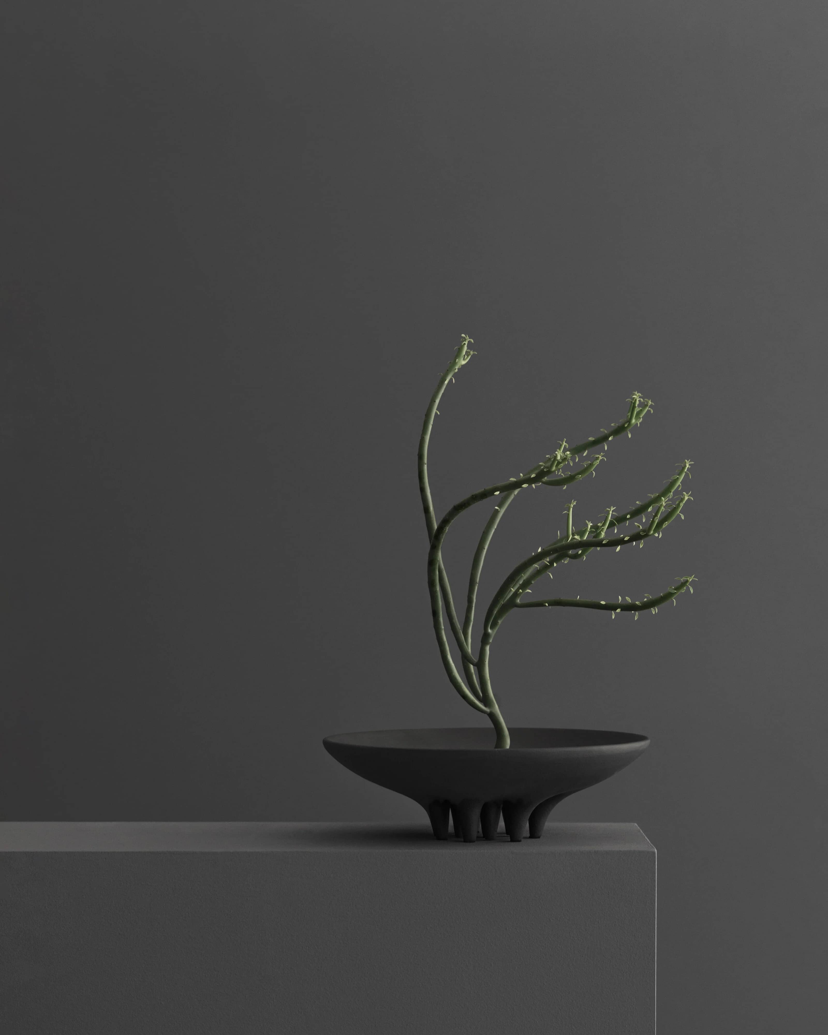 Поднос Medusa Mini — Coffee 7