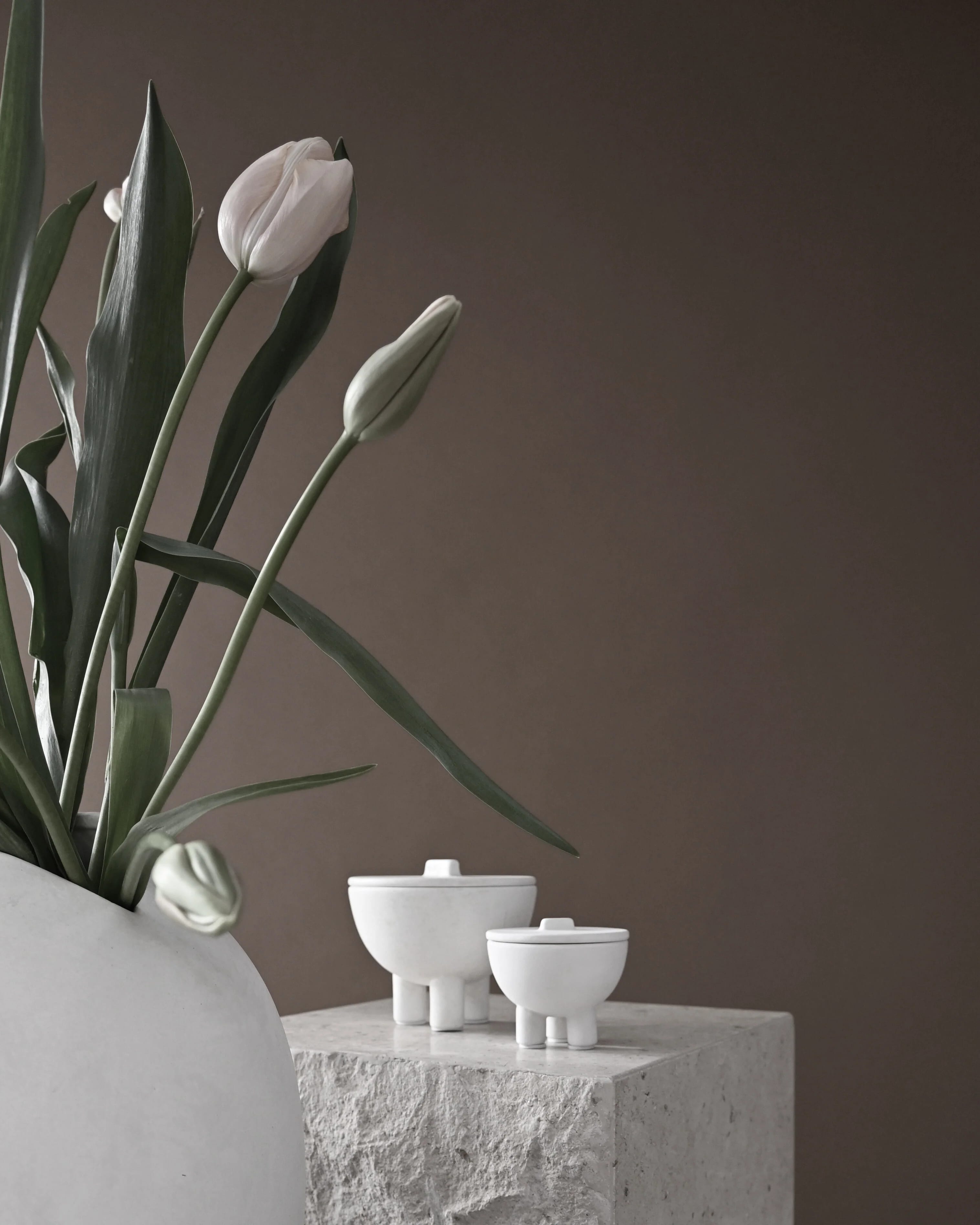 Чаша Duck Jar Medio — Bone White