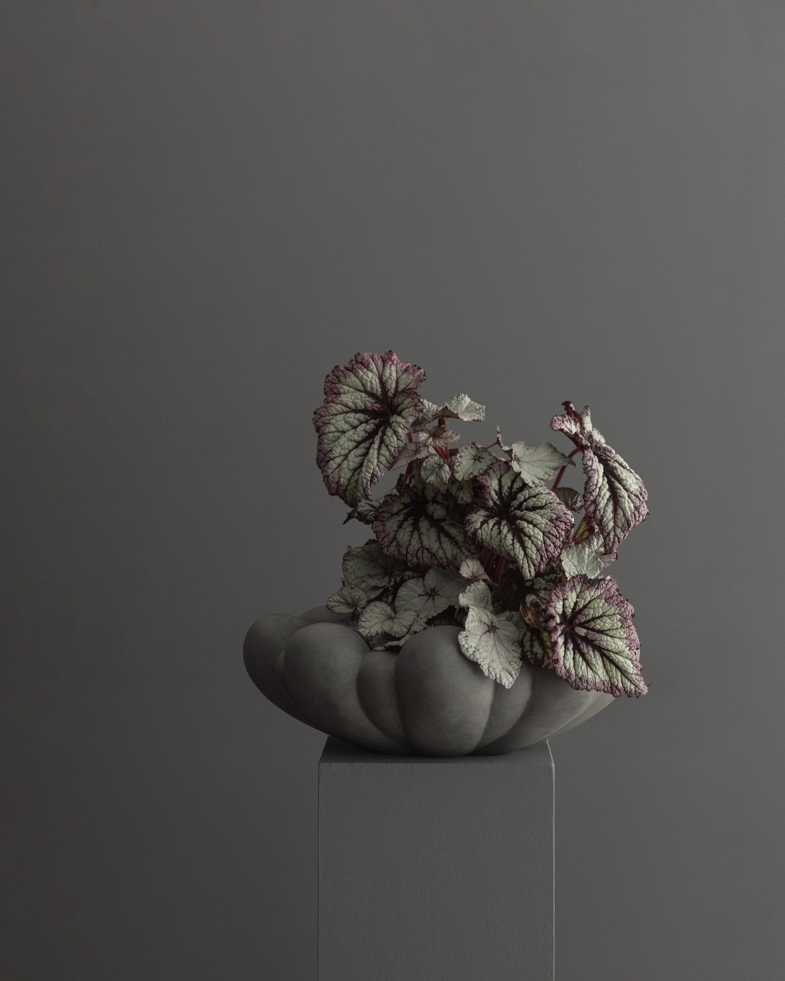 Поднос Bloom Big — Dark Grey