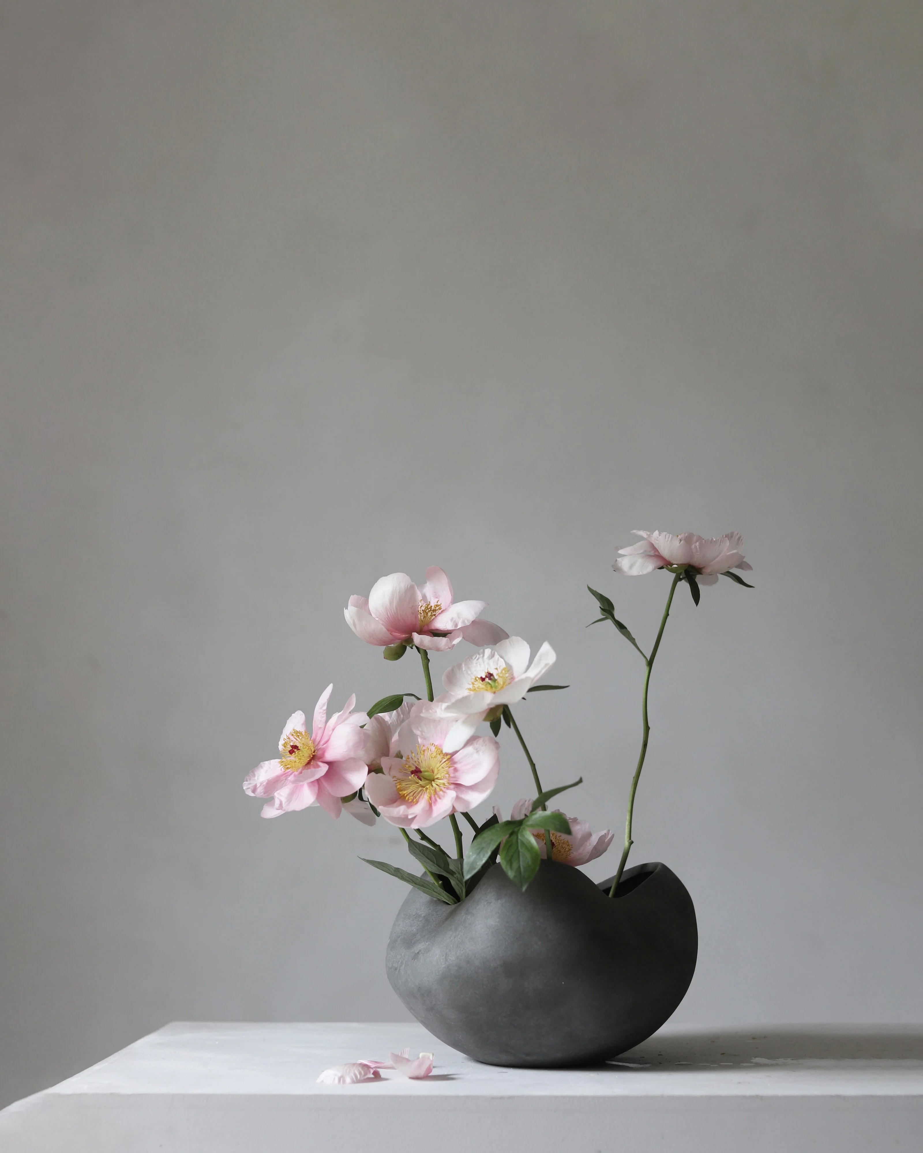 Чаша Curve Big — Dark Grey