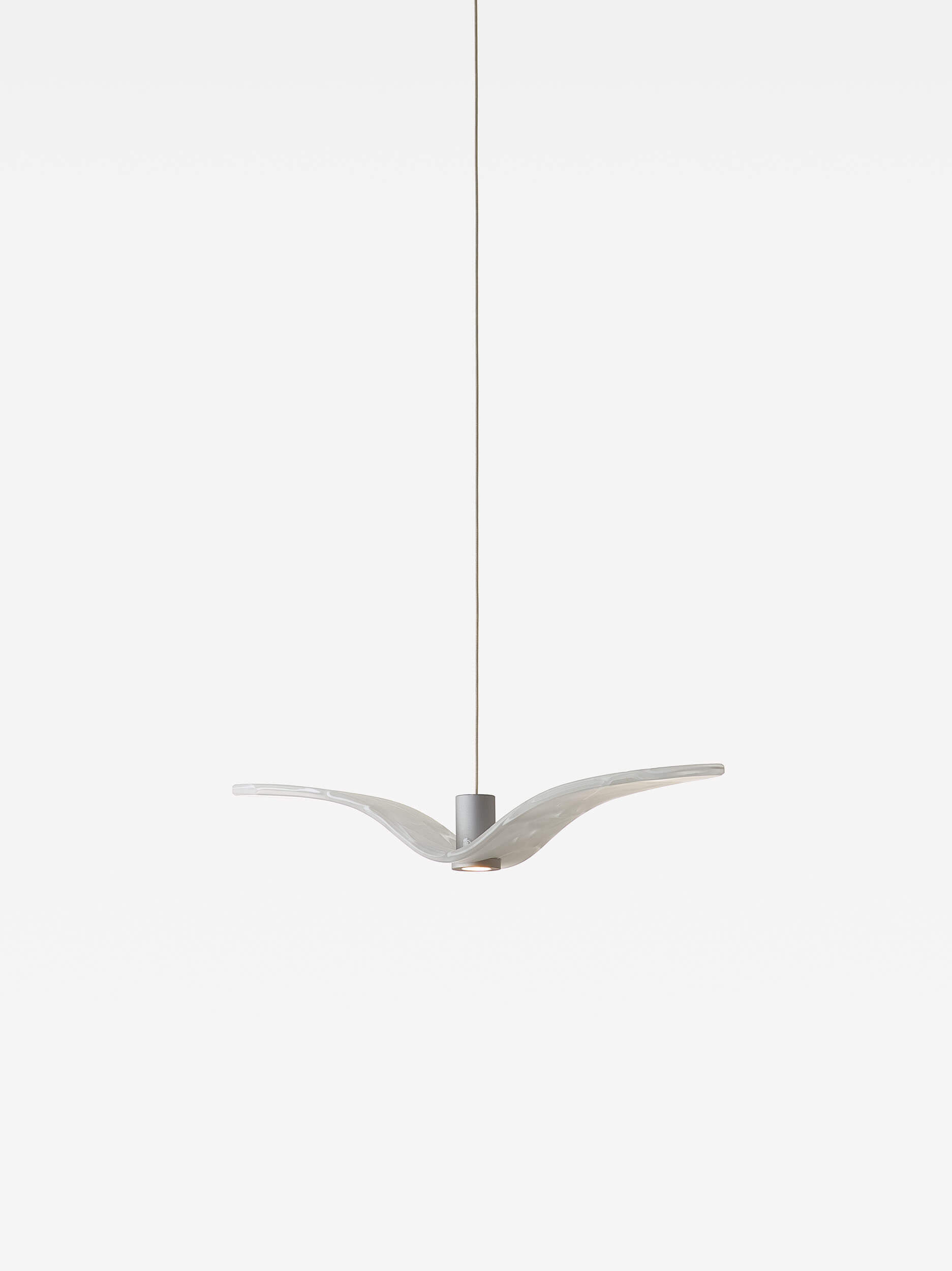Night Birds Mini Brokis
