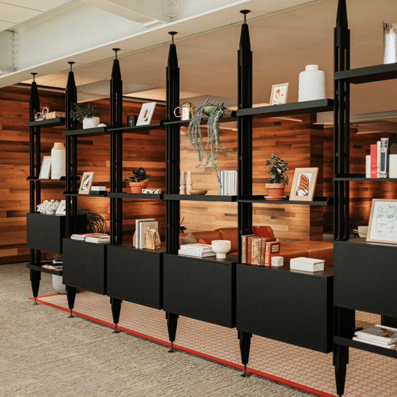 Книжный шкаф Infinito