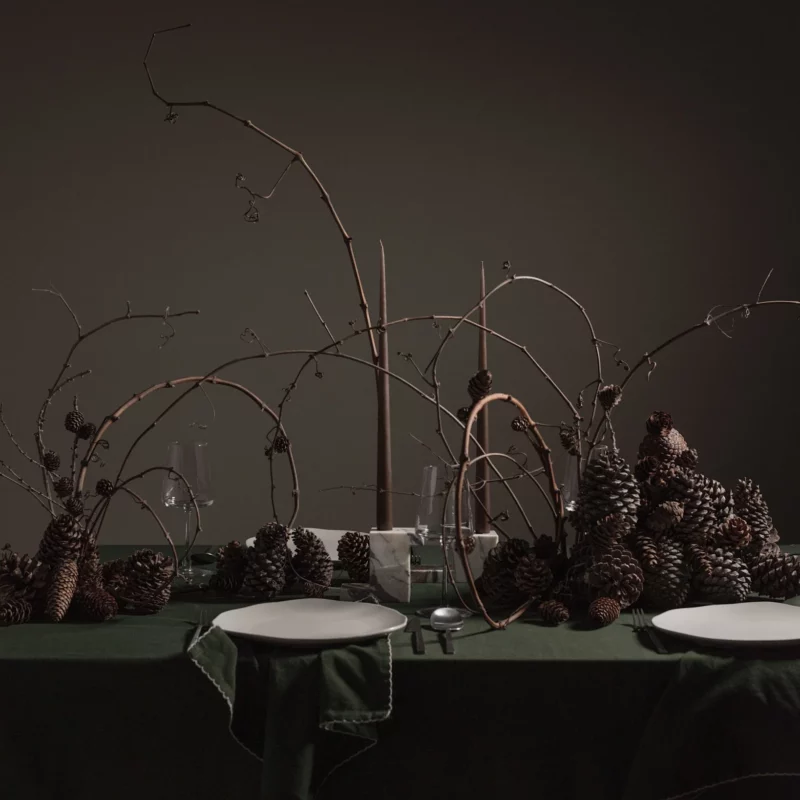 Обеденные тарелки Native Birch