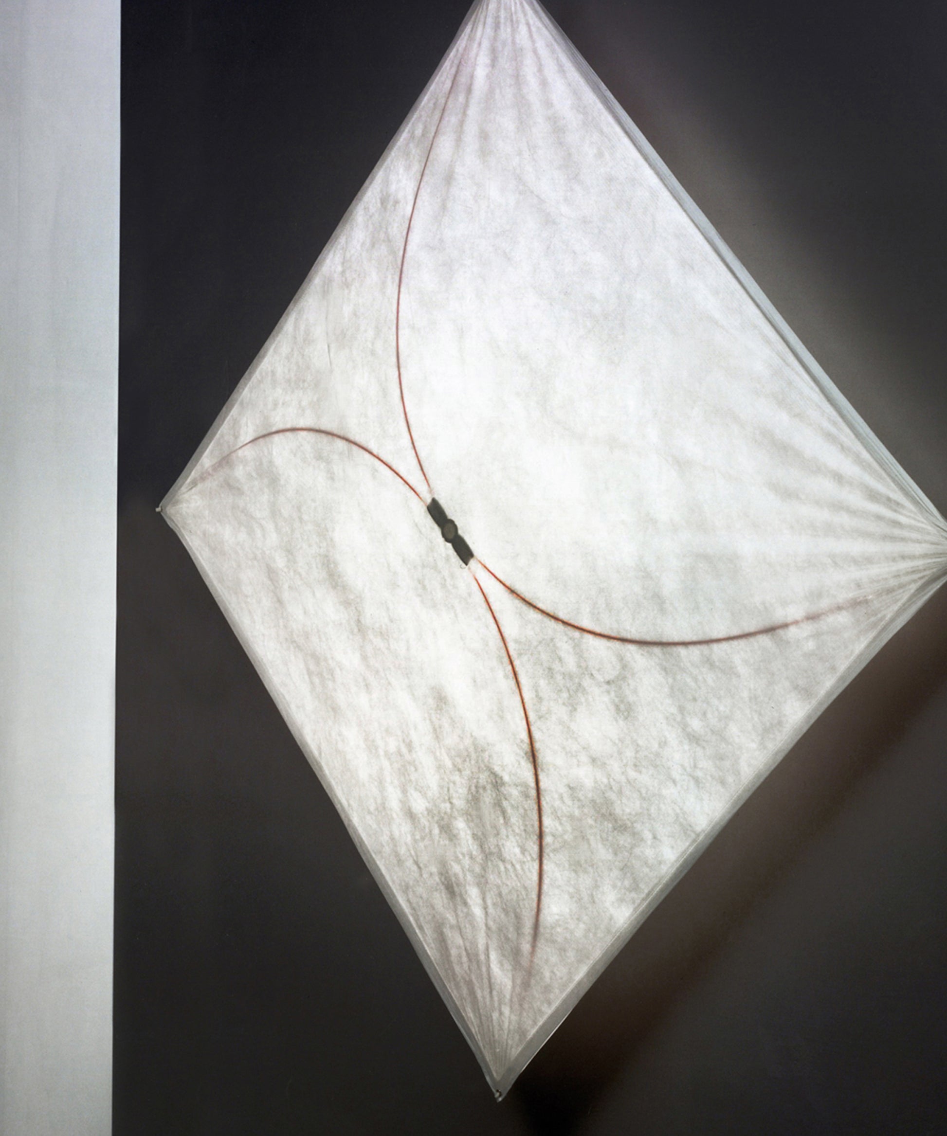 Настенно-потолочный светильник Ariette